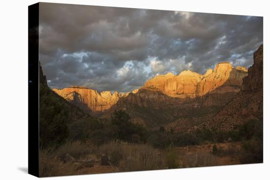 Morning light, Zion National Park-Ken Archer-Premier Image Canvas