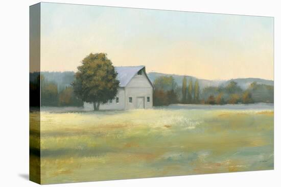 Morning Meadows II-James Wiens-Stretched Canvas