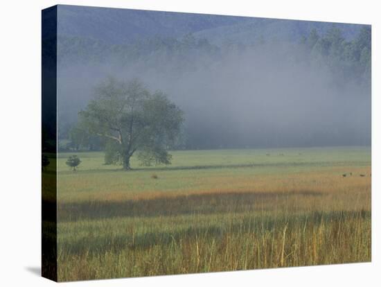 Morning Mist in Cades Cove, Great Smoky Mountains National Park, Tennessee, USA-Adam Jones-Premier Image Canvas
