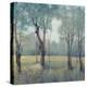 Morning Mist-Tim OToole-Stretched Canvas