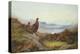 Morning of the Twelfth-Archibald Thorburn-Premier Image Canvas