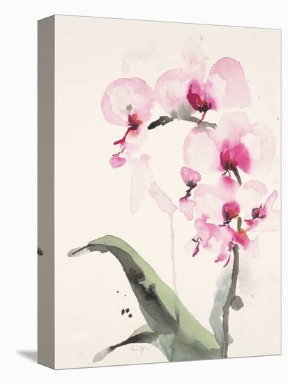 Morning Orchid 1-Karin Johannesson-Stretched Canvas