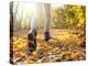 Morning Run in the Autumn Forest-Krivosheev Vitaly-Premier Image Canvas