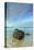Morning Seascape at Garrapata Beach-Vincent James-Premier Image Canvas