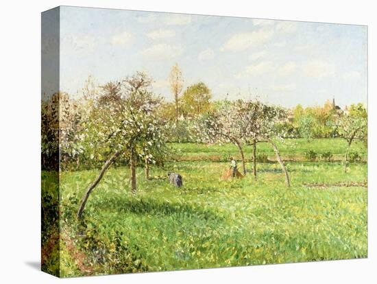 Morning, Spring, Grey Weather, Eragny-Camille Pissarro-Premier Image Canvas