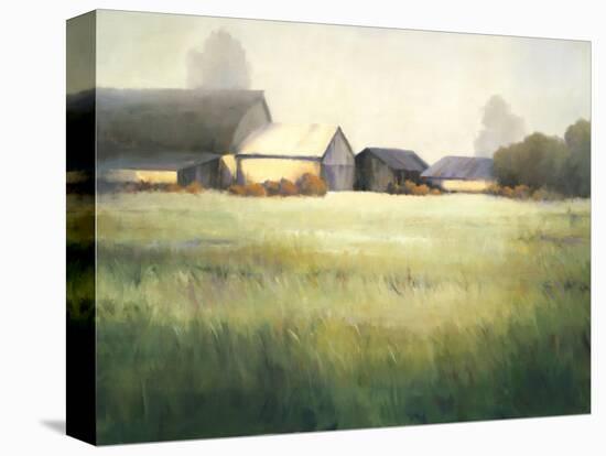 Morning Stillness-David Marty-Premier Image Canvas