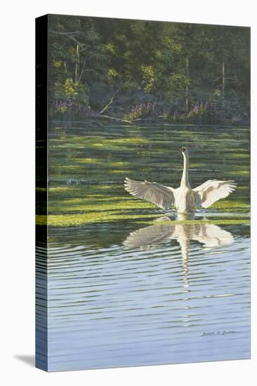 Morning Stretch-Bruce Dumas-Premier Image Canvas