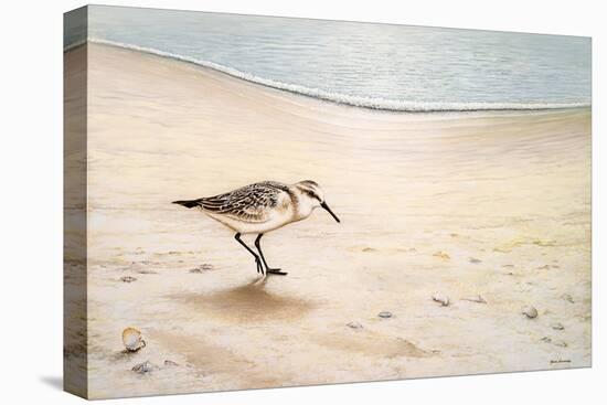 Morning Stroll-Bruce Nawrocke-Stretched Canvas