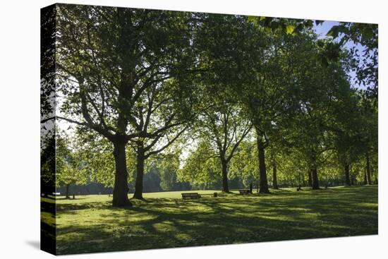 Morning Sunlight, St. James Park, London, England, United Kingdom-James Emmerson-Premier Image Canvas