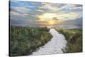 Morning Trail-Celebrate Life Gallery-Stretched Canvas