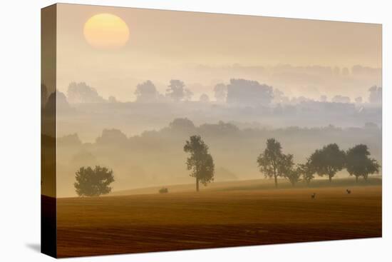 Morning View-Piotr Krol (Bax)-Premier Image Canvas