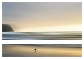 Morning Visit-Marvin Pelkey-Stretched Canvas