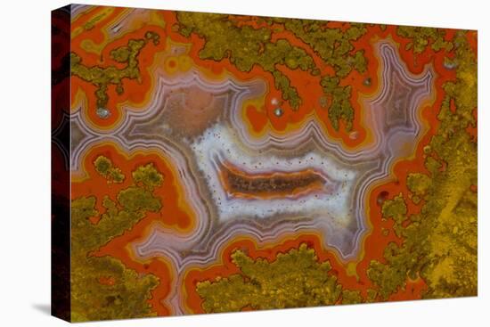 Moroccan Agate-Darrell Gulin-Premier Image Canvas