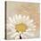 Moroccan Daisy 1-Walela R.-Stretched Canvas