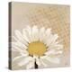 Moroccan Daisy 1-Walela R.-Stretched Canvas