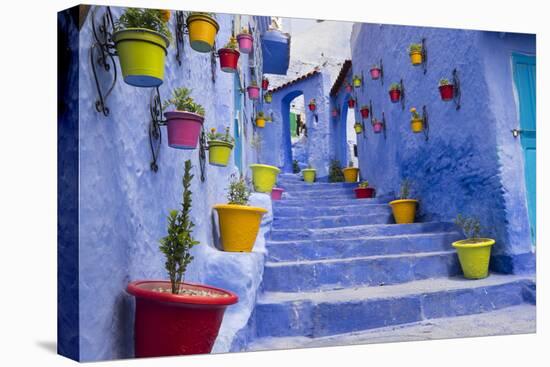 Morocco, Chaouen. Plantings in Colorful Pots Line the Narrow Corridors-Emily Wilson-Premier Image Canvas