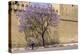 Morocco, Fes. Cyclist Rides Pass a Blooming Jacaranda Tree-Brenda Tharp-Premier Image Canvas