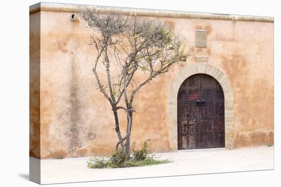 Morocco, Marrakech. Doorway Set into a Beige Way-Emily Wilson-Premier Image Canvas