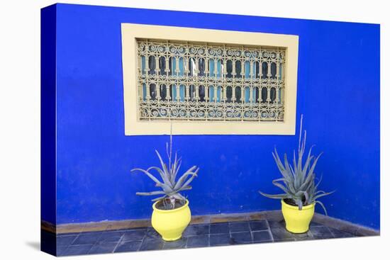 Morocco, Marrakech, Potted Succulent Plants Outside a Blue Building-Emily Wilson-Premier Image Canvas