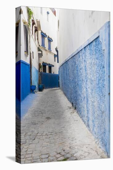 Morocco, Rabat, Sale, Kasbah Des Oudaias, Streets of the 'Old Town' Sector-Emily Wilson-Premier Image Canvas