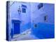 Morocco, Rif Mountains, Chefchaouen, Medina-Michele Falzone-Premier Image Canvas