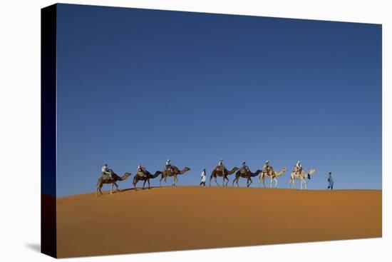 Morocco, Sahara. a Row of Camels Travels the Ridge of a Sand Dune-Brenda Tharp-Premier Image Canvas