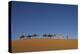 Morocco, Sahara. a Row of Camels Travels the Ridge of a Sand Dune-Brenda Tharp-Premier Image Canvas