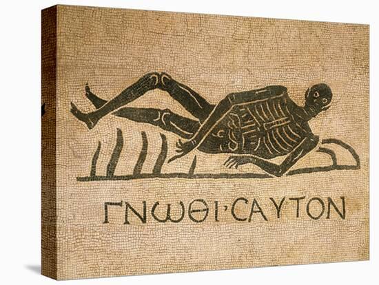 Mosaic Depicting Human Skeleton with Inscription Know Thyself-null-Premier Image Canvas