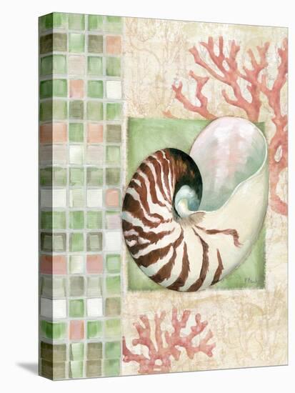 Mosaic Shell Collage I-Paul Brent-Stretched Canvas