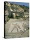 Mosaic, the House of Gladiators, Kourion, Cyprus, Europe-Jeremy Bright-Premier Image Canvas