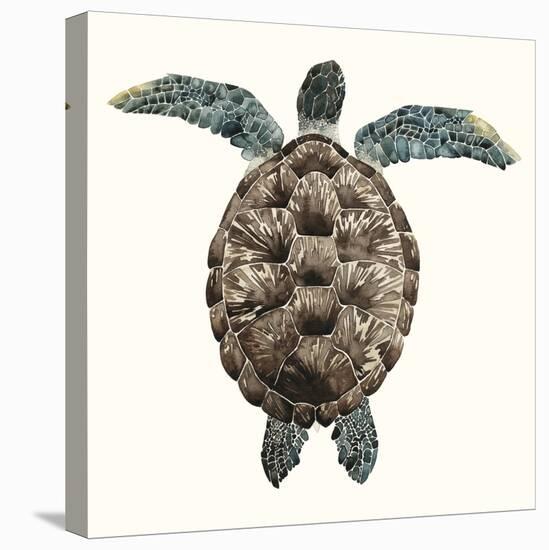 Mosaic Turtle I-Grace Popp-Stretched Canvas