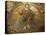 Mosaics Depicting the Final Judgement, Baptistery, Duomo Florence, Tuscany, Italy, Europe-Godong-Premier Image Canvas