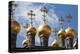 Moscow, Kremlin, Terem Palace, Detail, Towers-Catharina Lux-Premier Image Canvas