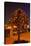 Moscow, Tree Made of Padlocks, Wedding Ritual, at Night-Catharina Lux-Premier Image Canvas