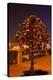 Moscow, Tree Made of Padlocks, Wedding Ritual, at Night-Catharina Lux-Premier Image Canvas