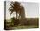 Mosque at Medamut (suburb of Thebes)-English Photographer-Premier Image Canvas