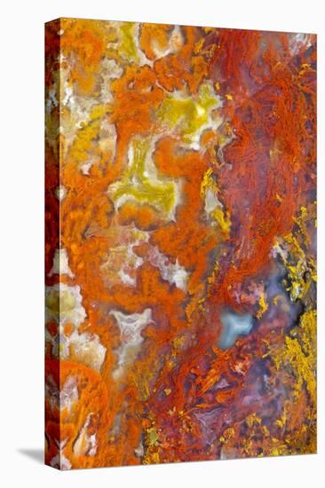 Moss Agate-Darrell Gulin-Premier Image Canvas