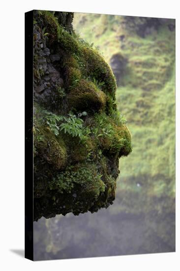Moss Covered Rock Shaped Like a Face by Skogarfoss Waterfalls, Iceland-null-Premier Image Canvas