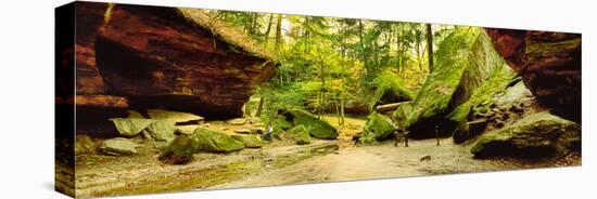 Moss covered rocks in forest, Rocky Hollow Falls Canyon, Turkey Run State Park, Marshall, Indian...-null-Stretched Canvas