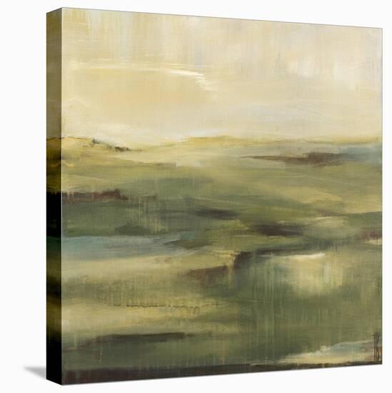 Moss Hill-Terri Burris-Stretched Canvas