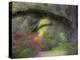 Moss-Laden Live Oak Tree, Magnolia Gardens, South Carolina, USA-Nancy Rotenberg-Premier Image Canvas