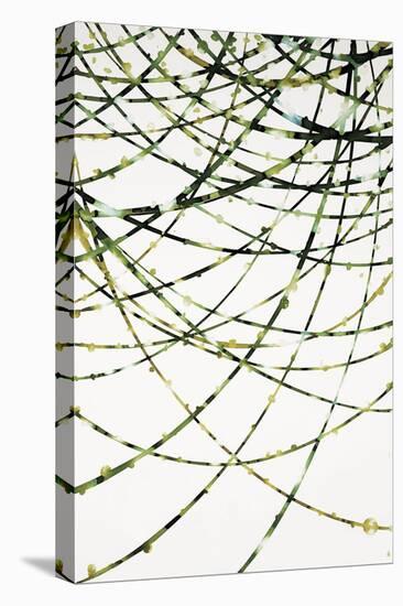 Moss Vine-Candice Alford-Stretched Canvas