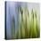 Moss-Ursula Abresch-Premier Image Canvas