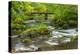 Mossy boulders and wooden bridge over East Lyn River, UK-Ross Hoddinott-Premier Image Canvas