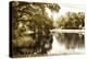 Mossy Lake I-Alan Hausenflock-Premier Image Canvas