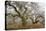 Mossy Oak-David Lorenz Winston-Stretched Canvas