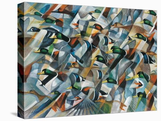 Mostly Mallards-Ron Jenkins-Stretched Canvas