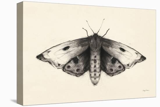 Moth I-Avery Tillmon-Stretched Canvas