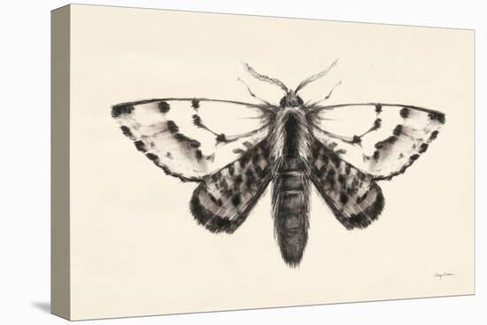 Moth IV-Avery Tillmon-Stretched Canvas