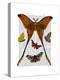 Moth Plate 1-Fab Funky-Stretched Canvas